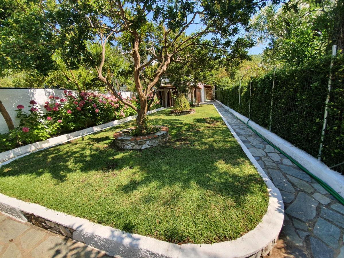 كوكونارييس Dionisos Studios And Apts Skiathos المظهر الخارجي الصورة