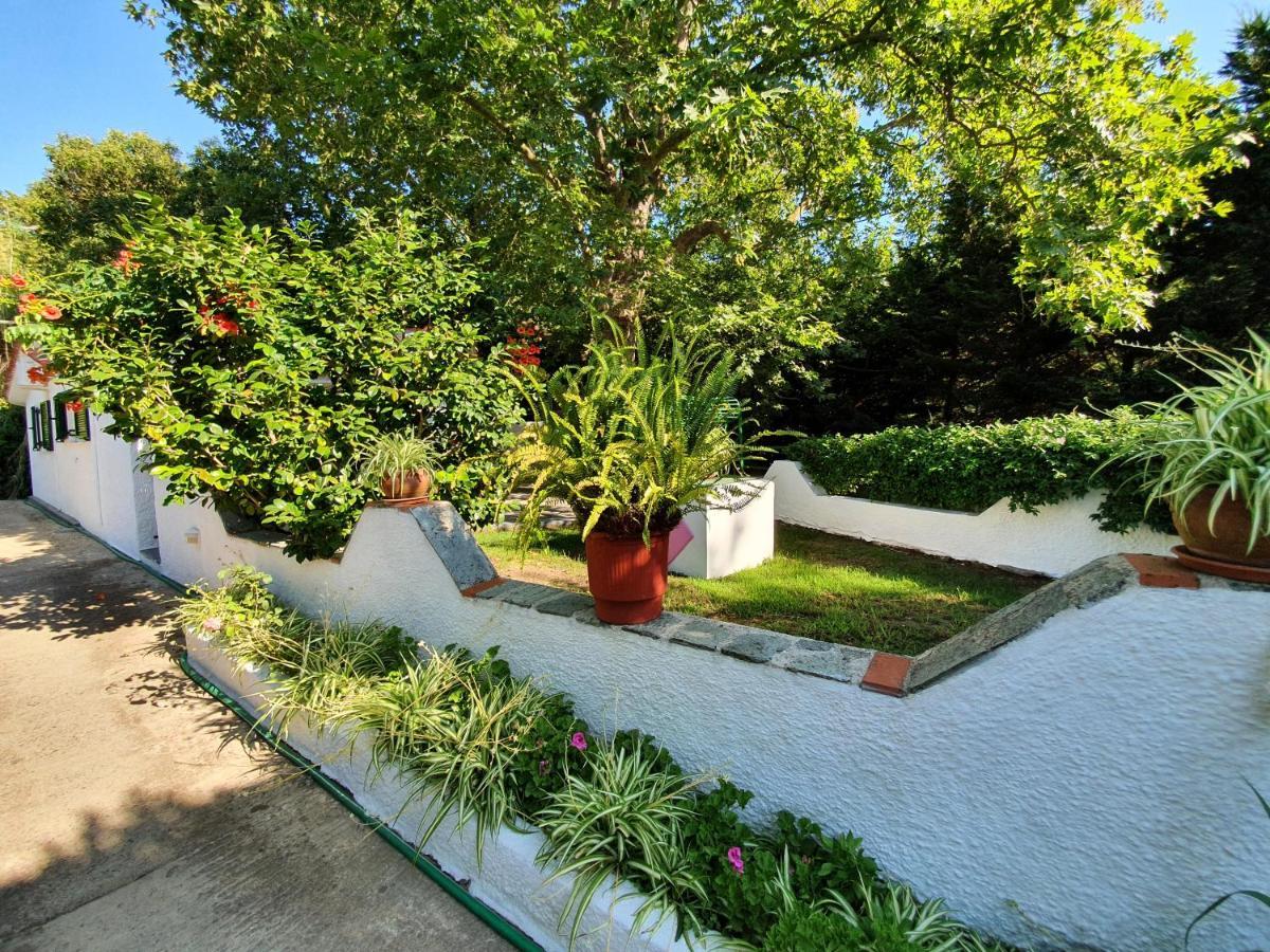 كوكونارييس Dionisos Studios And Apts Skiathos المظهر الخارجي الصورة