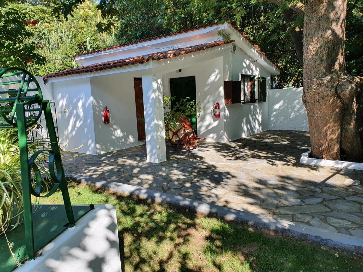 كوكونارييس Dionisos Studios And Apts Skiathos المظهر الخارجي الصورة